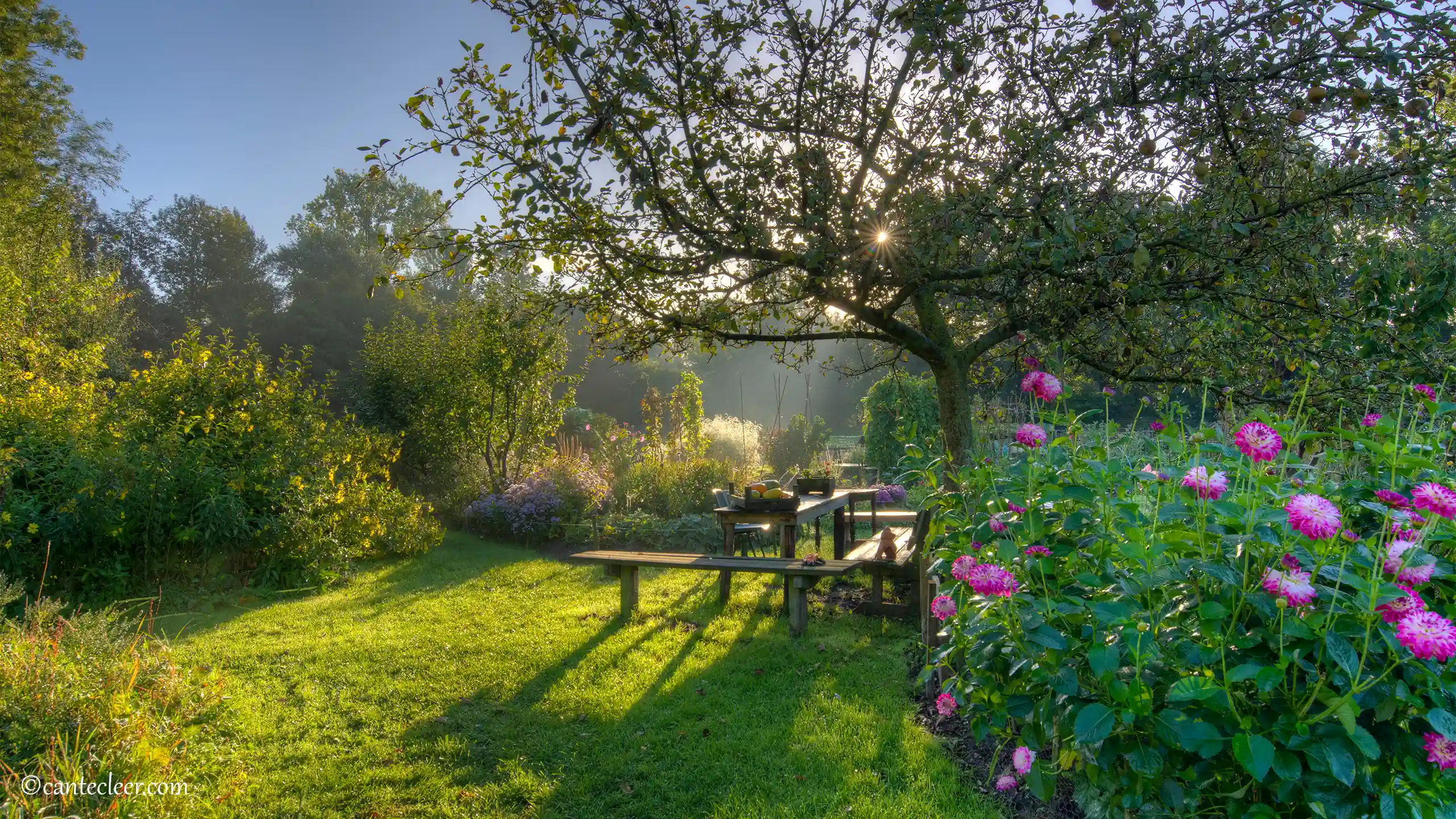 Seniorentuin in de ochtend