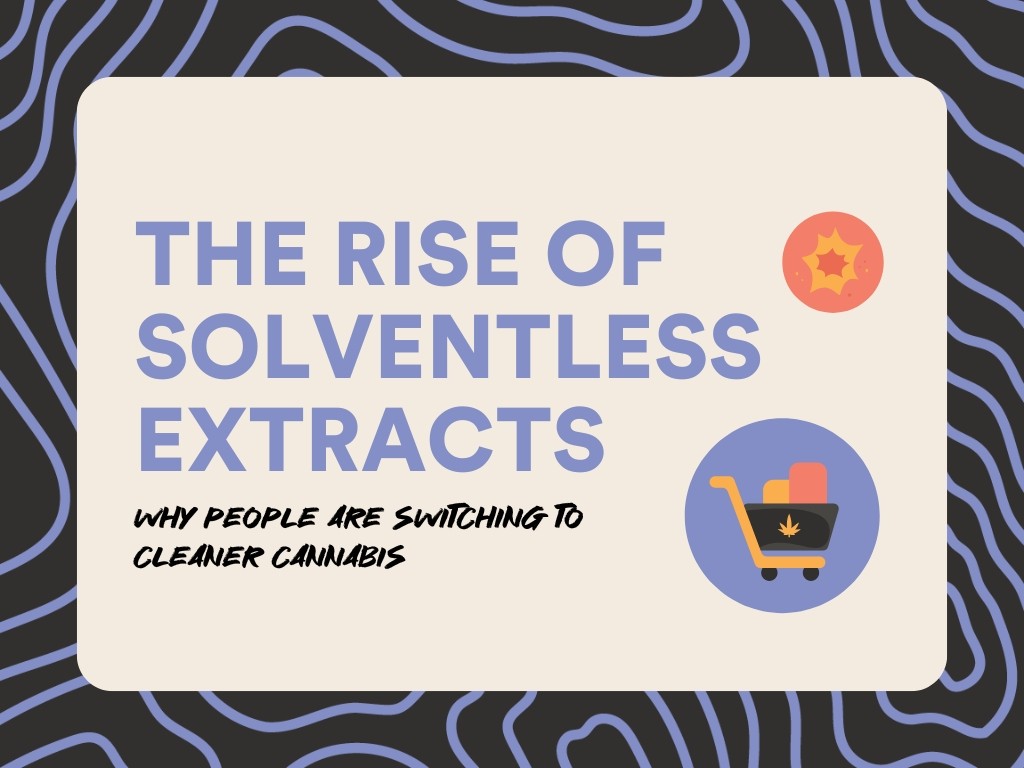 Title text reading "The rise of solventless extracts" with subtitle text reading "why people are switching to cleaner cannabis" with handdrawn artisitc icons of a shopping cart and of cannabis concertrate