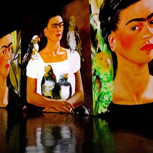 Opera d'arte luminosa e multipannello che presenta ritratti di una donna con uccelli, riflessa su una superficie lucida.