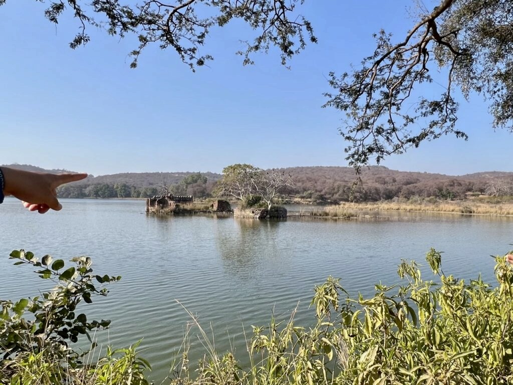 A lake with ruins in it in a forest