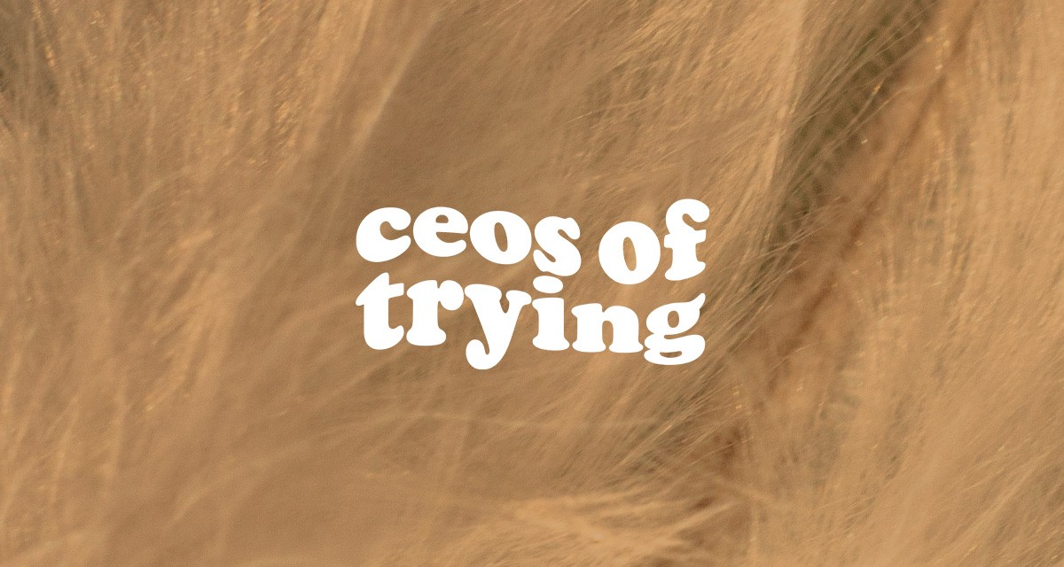 ceos of trying