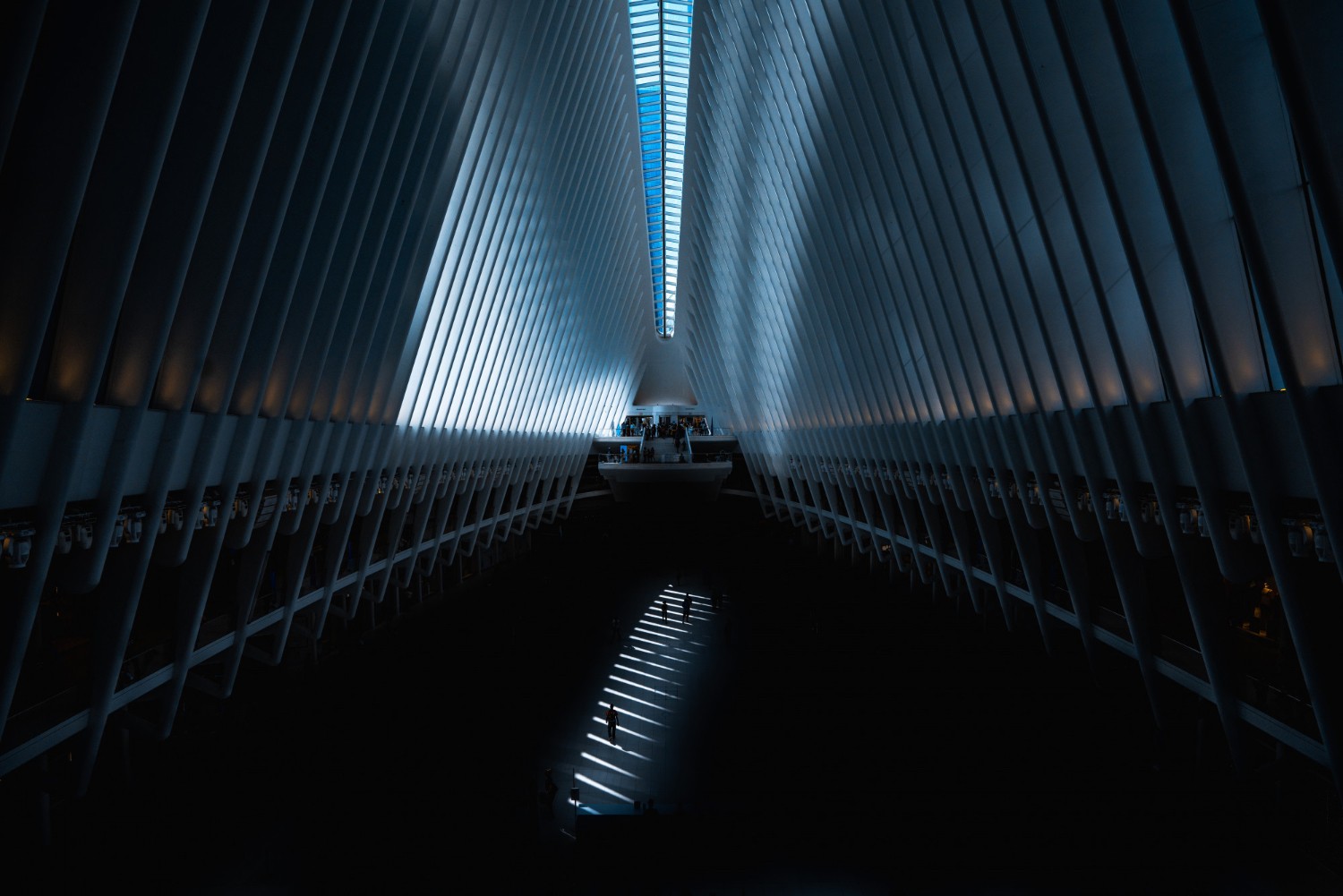 A mockup of Freelio's mobile app