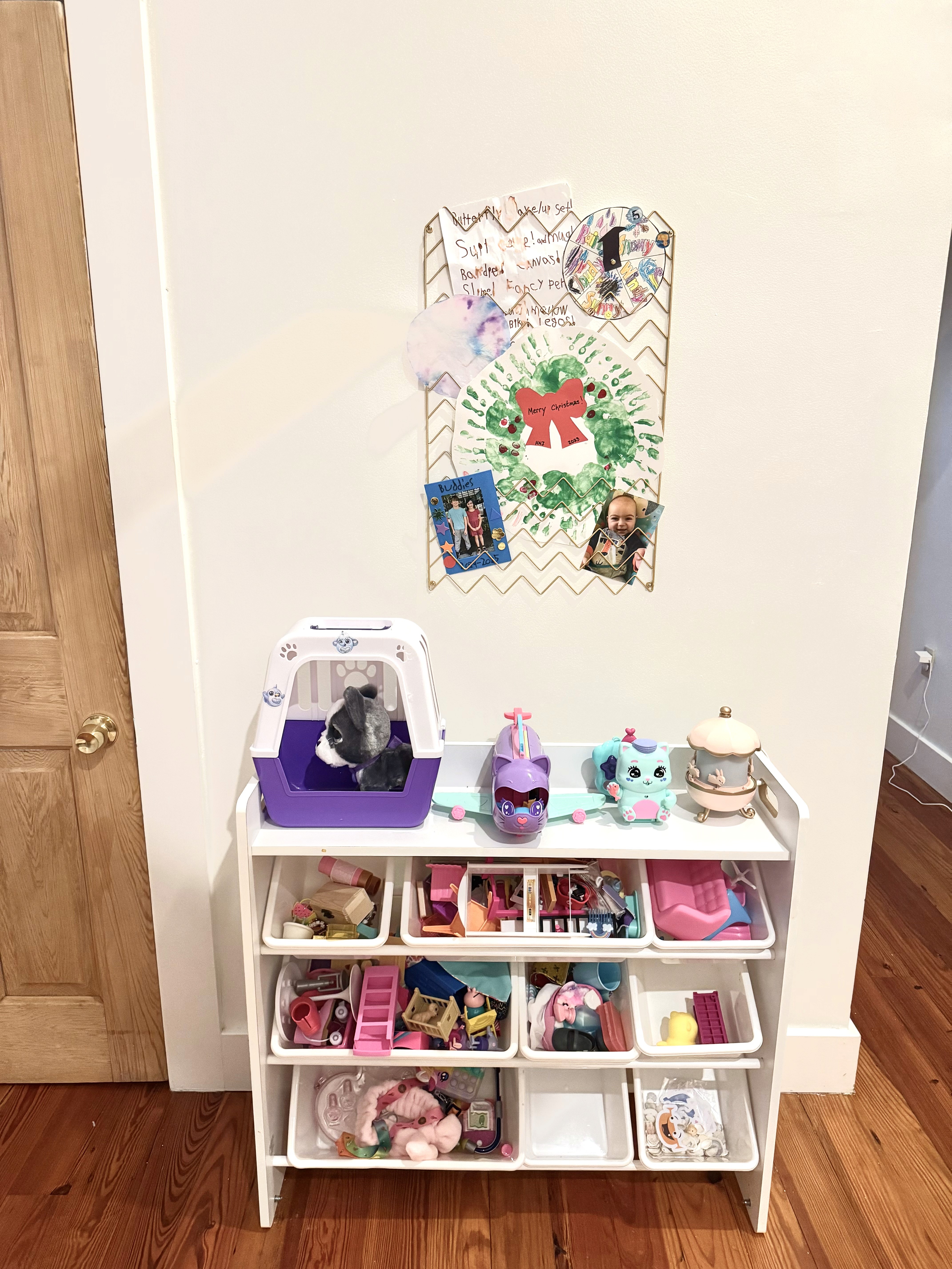 girls room bookcase