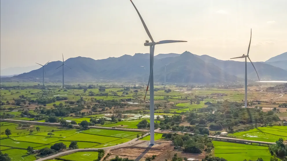 Wind turbines generating renewable energy across a rural agricultural landscape