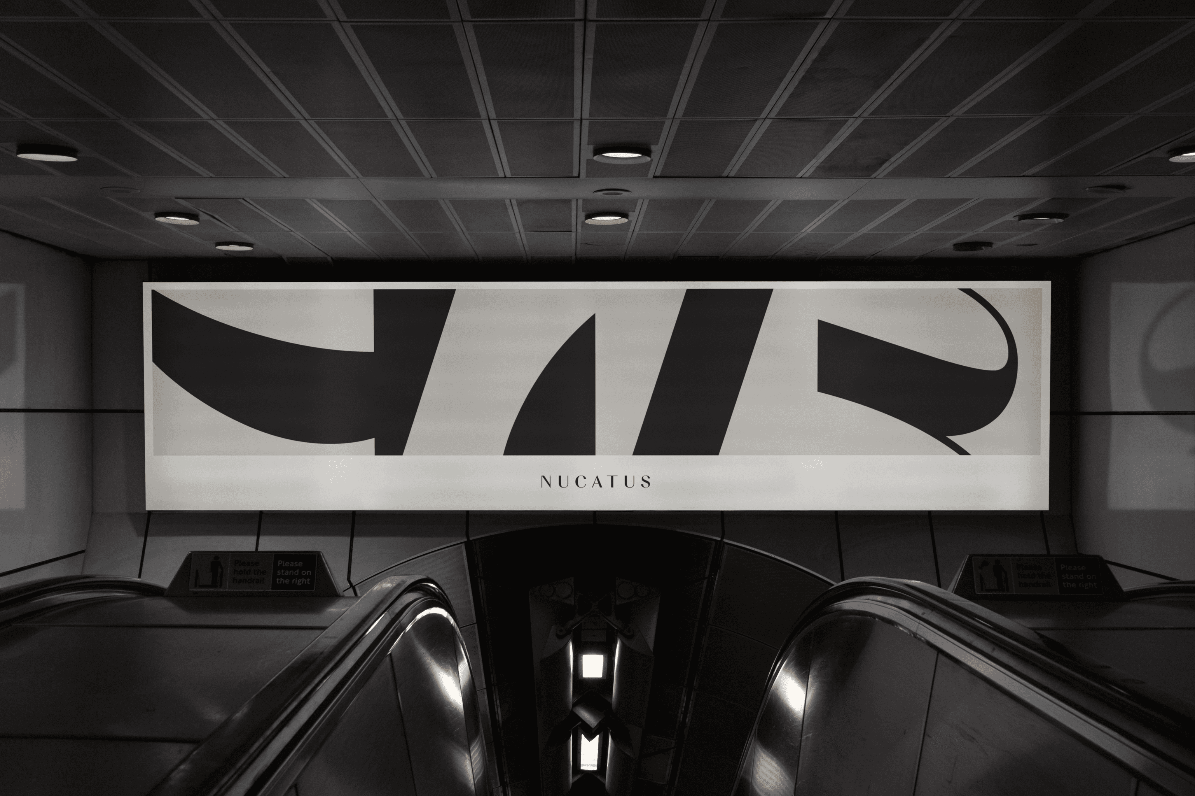 Nucatus branding mockup by analogue agancy