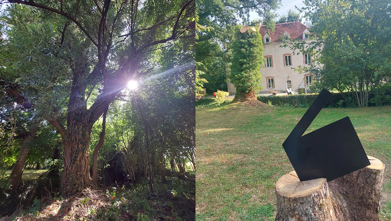 Parc naturel du gîte avec arbres et lumière en Côte-d’Or