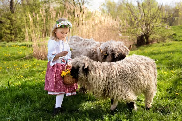 Pohádkové focení dětí s ovečkami, tématické venkovní fotografování.