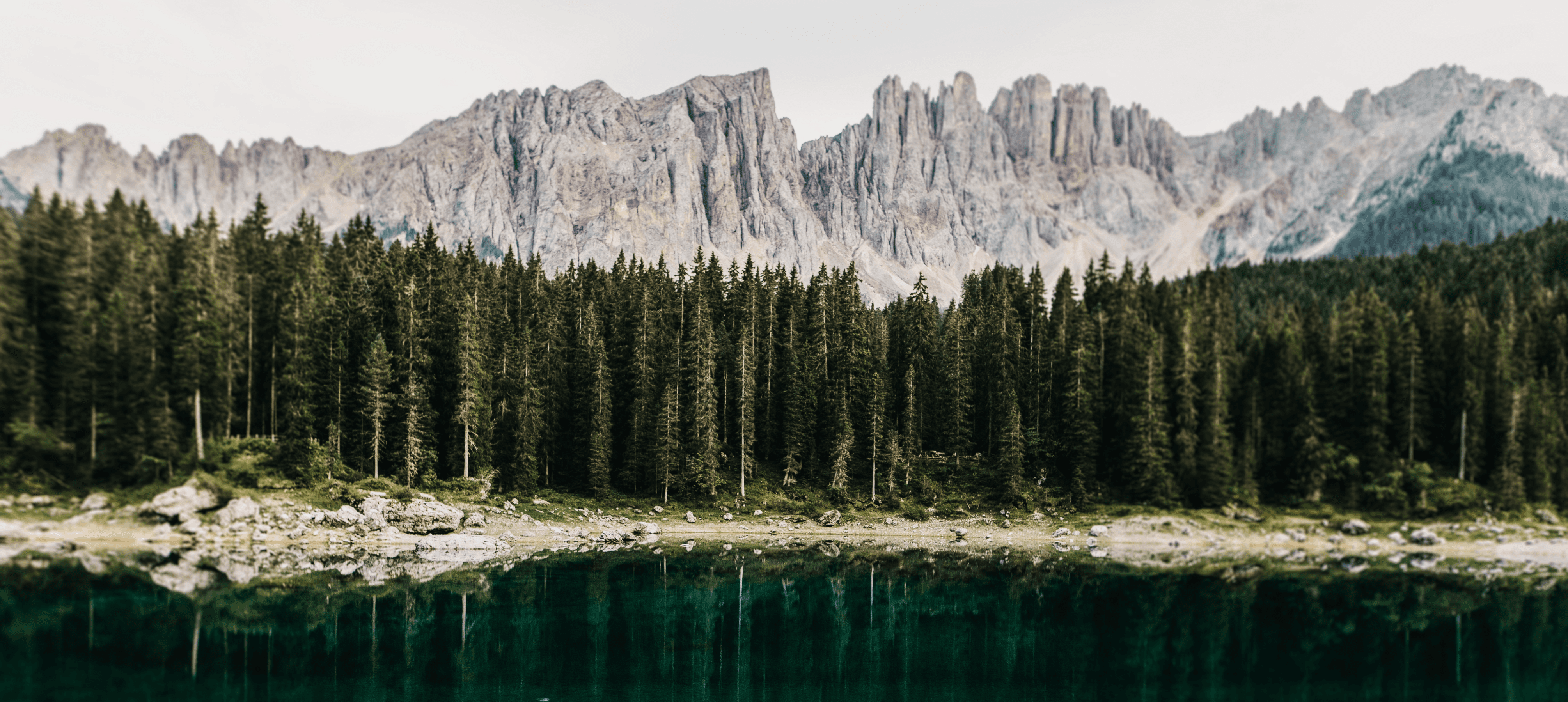A clear lake reflects a pine forest and jagged mountains.