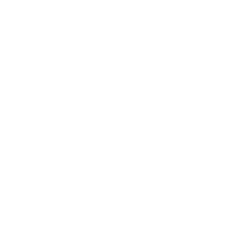 Social Icon