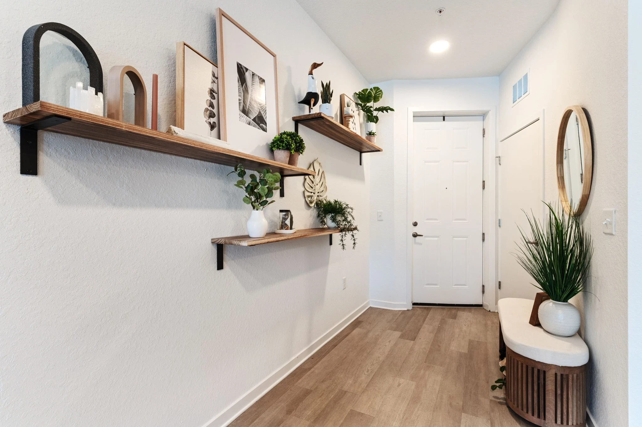 A hallway featuring shelves adorned with various plants, creating a vibrant and inviting atmosphere.