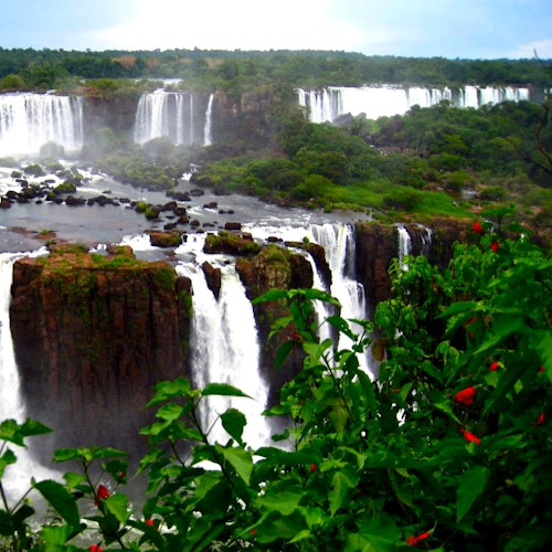 多条瀑布从悬崖上奔流而下，周围环绕着郁郁葱葱的绿色植被和鲜艳的红色花朵。