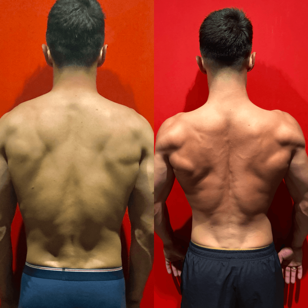 Prise de muscle