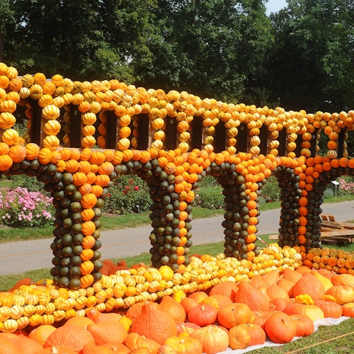 Groot-Bijgaarden城堡：南瓜狂热2025门票