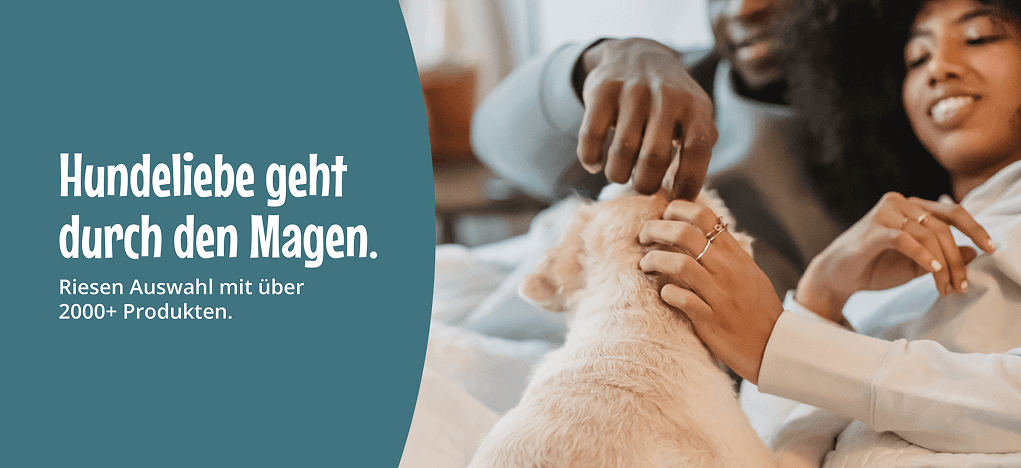 Cool Dog banner showing two people smiling and petting a dog, headlined "Hundeliebe geht durch den Magen"