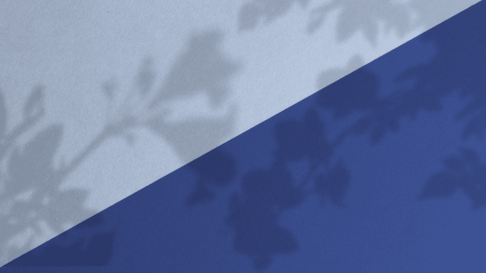 nail designs at Ballerina Nails and Spa