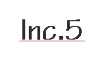 Inc.5 D2C Brand Logo - Strique Client