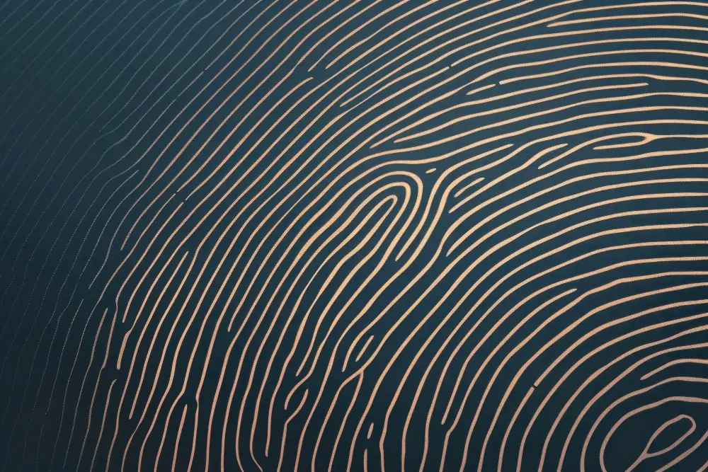 Magnifying glass symbolizing attention to details