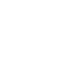 download icon