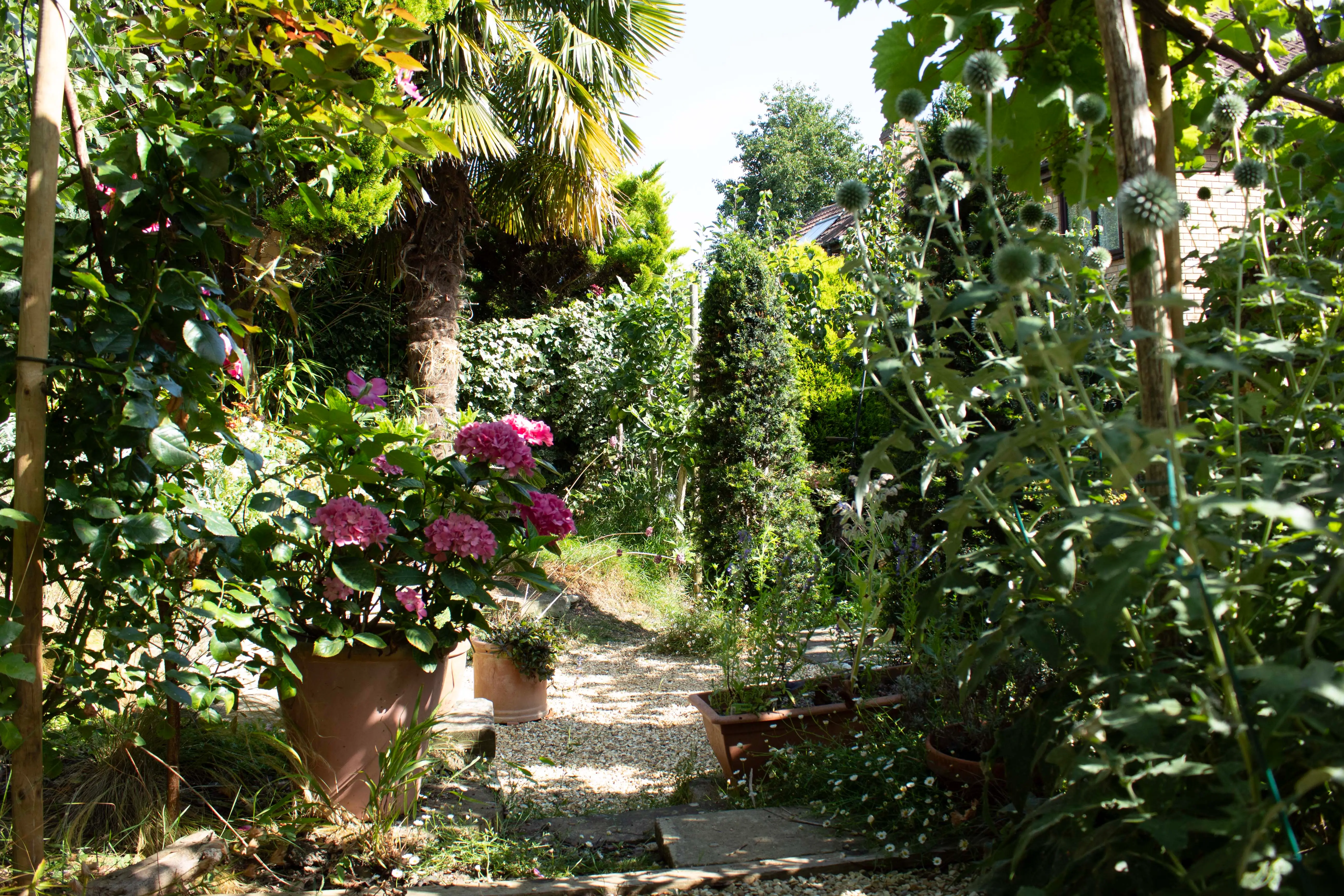 A scenic garden path surrounded by lush greenery and vibrant flowers under bright sunlight.