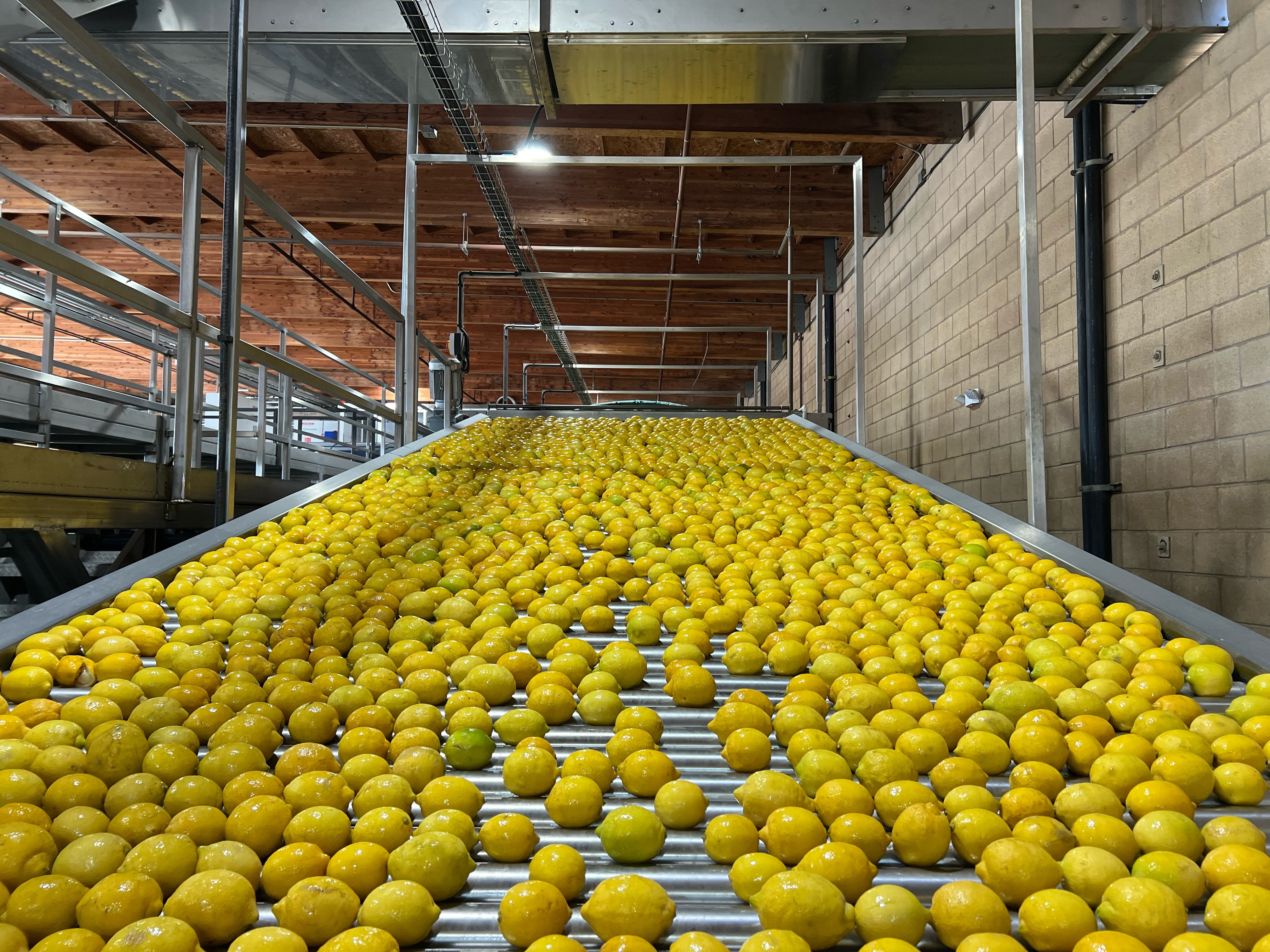 a person cutting a fruit