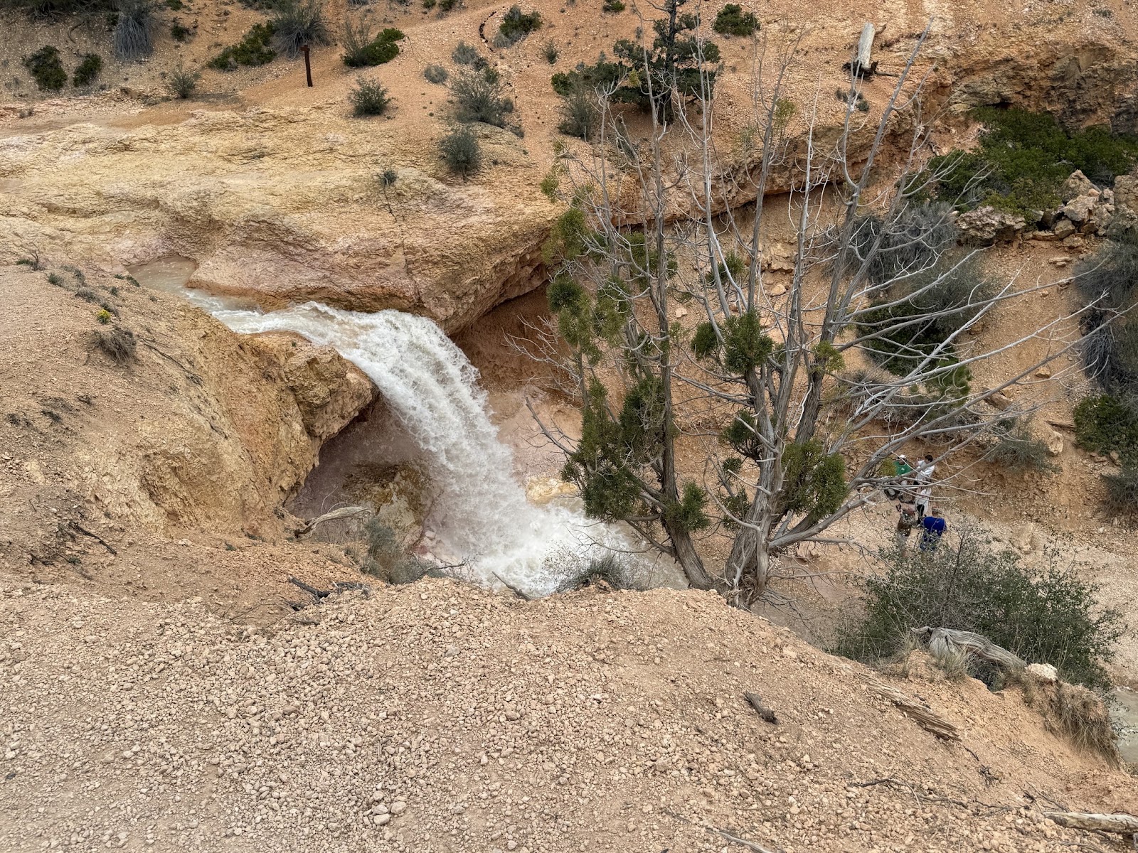 A waterfall canyon overlook near Bryce Canyon