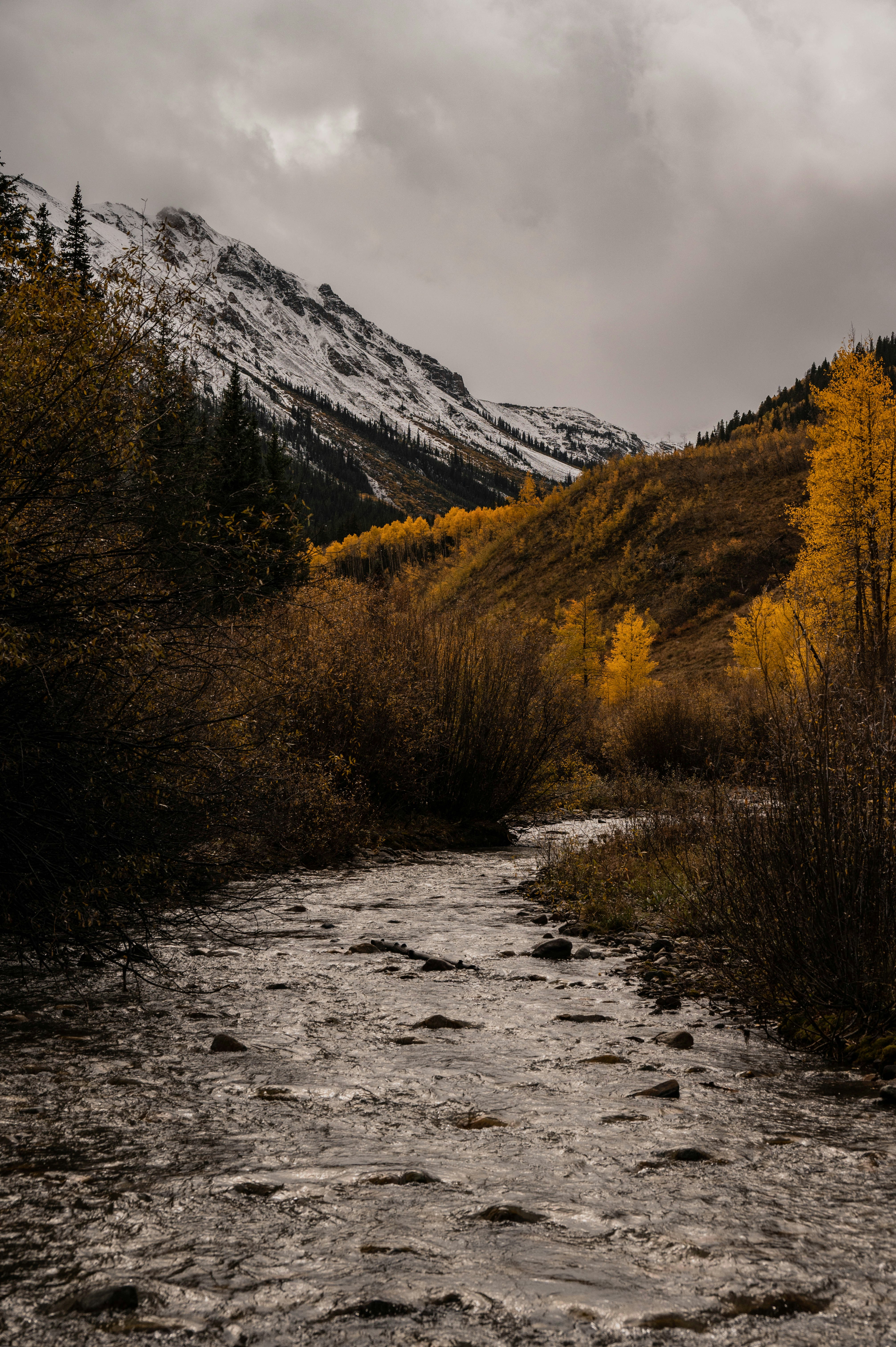 a river running through a valley with trees and mountains in the background