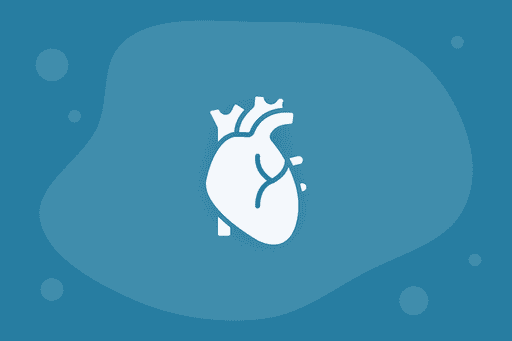 Thema: Anatomie
