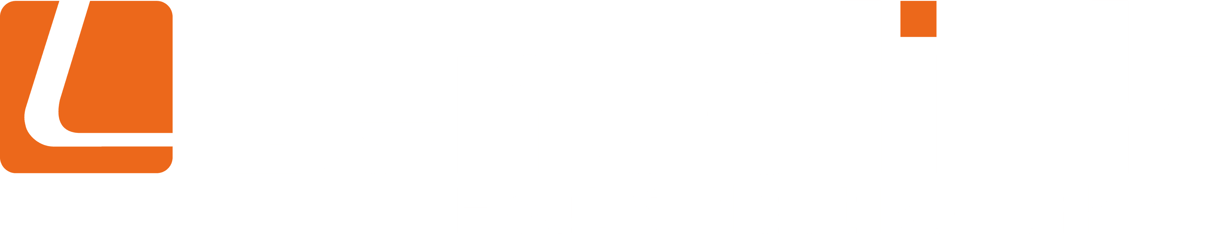 Lenselink Logo Wit