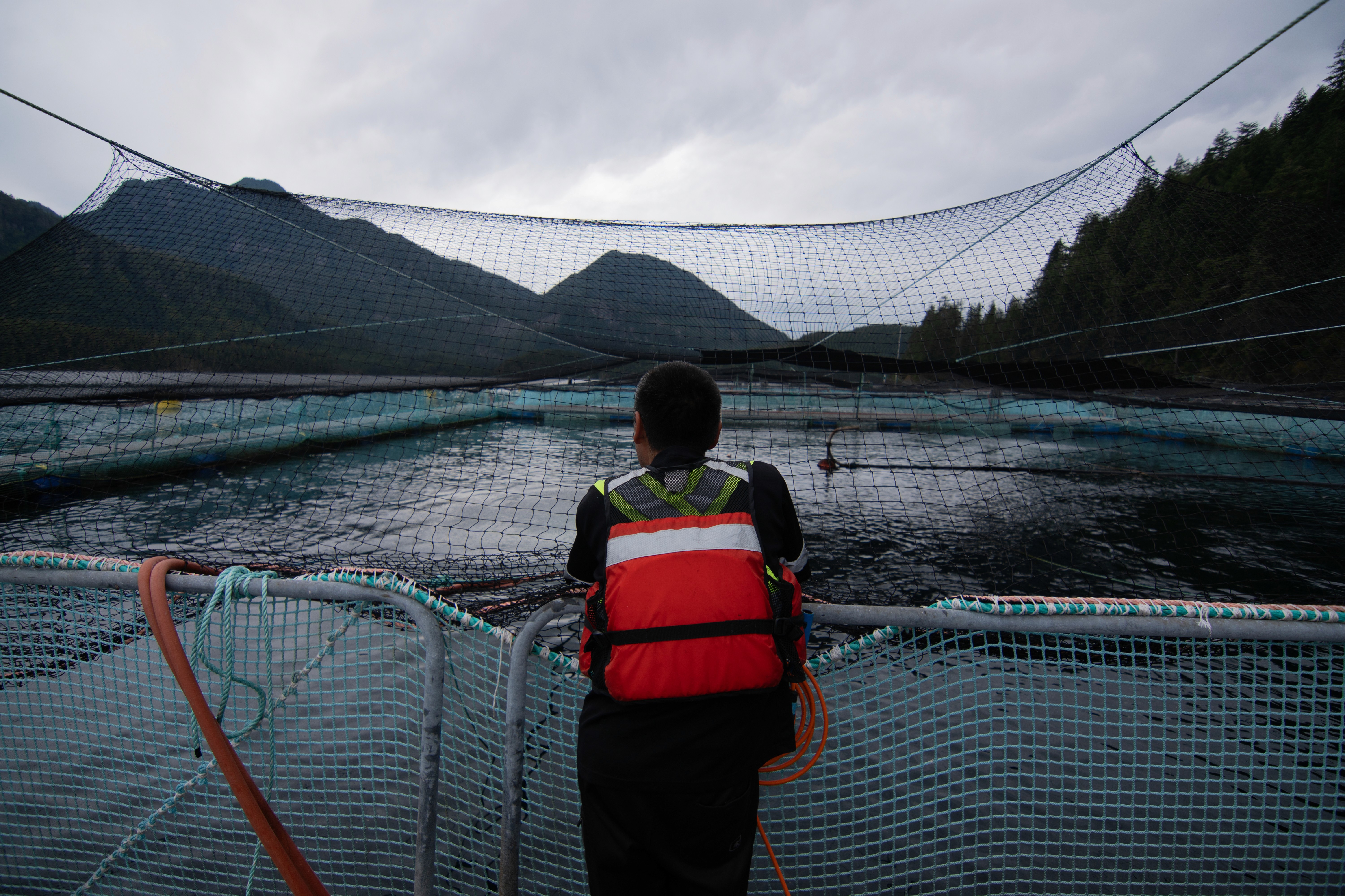 Salmon farmer in a life jacket on a net pen walkway
