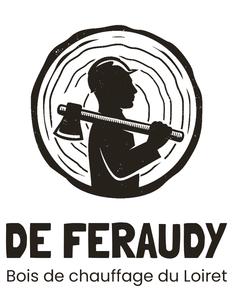 Logo De Feraudy