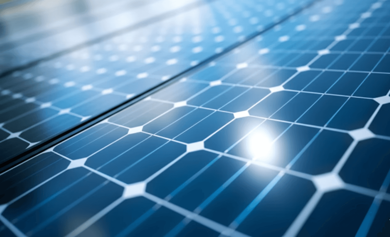 Sustainability at heart