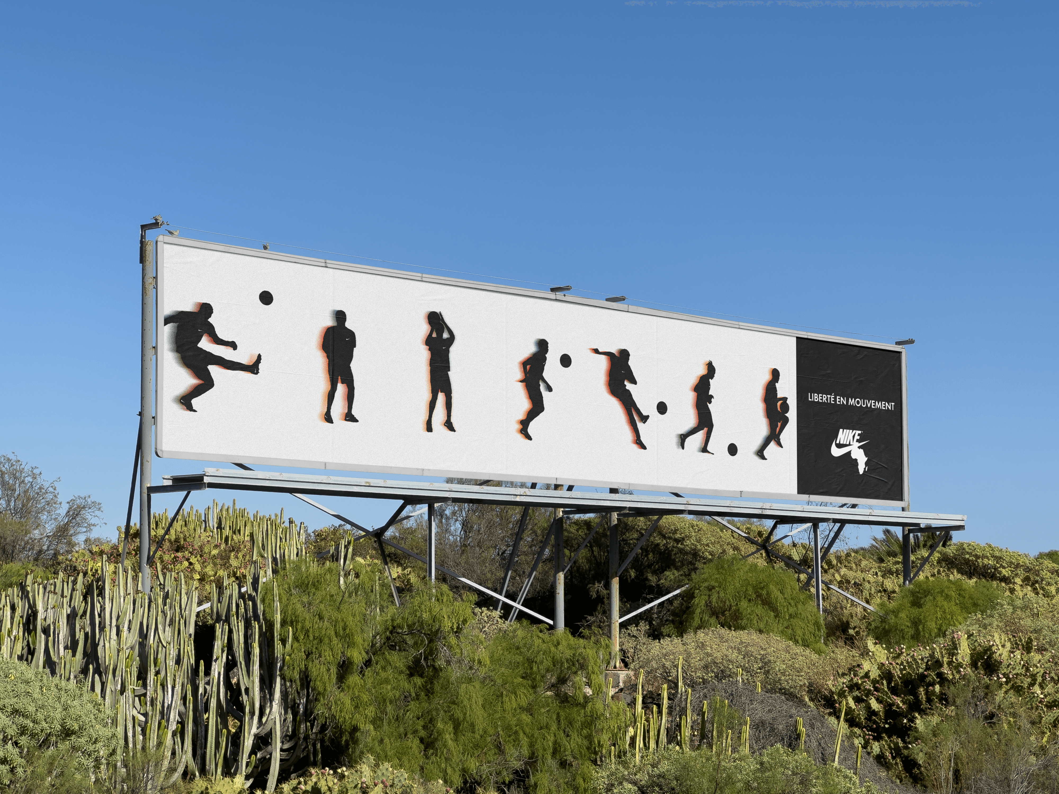 Project Content Image - 2