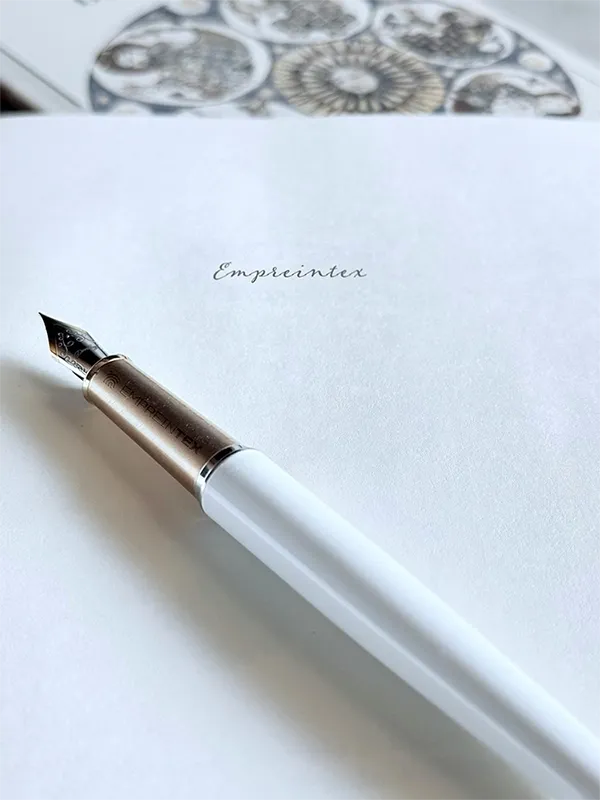 Close-up of a tree stump showing growth rings and a textured brown wood surface.
