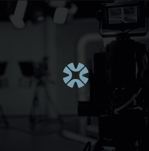 Close-up of a dark green leaf showing its textured surface and central vein against a muted background.