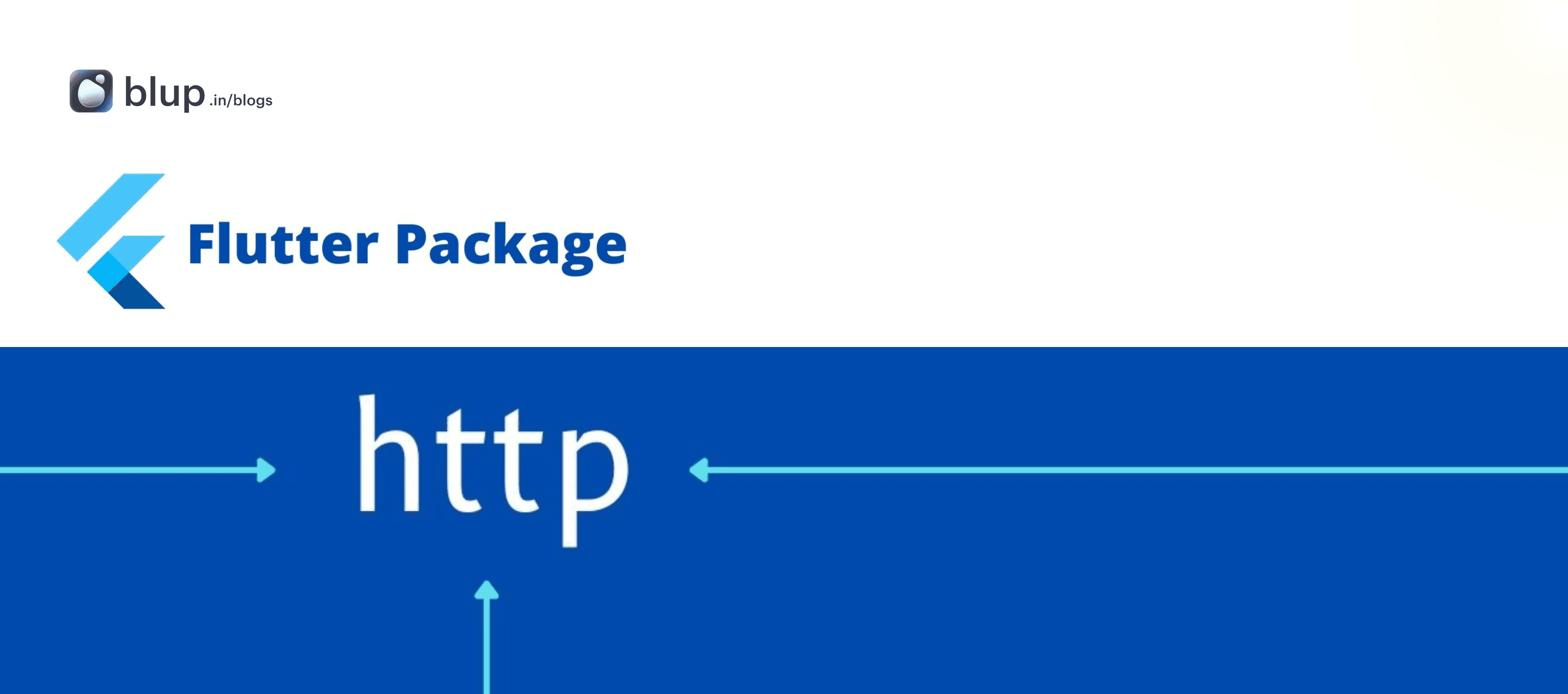 Step 1: Adding the http Package | Networking  and http in flutter