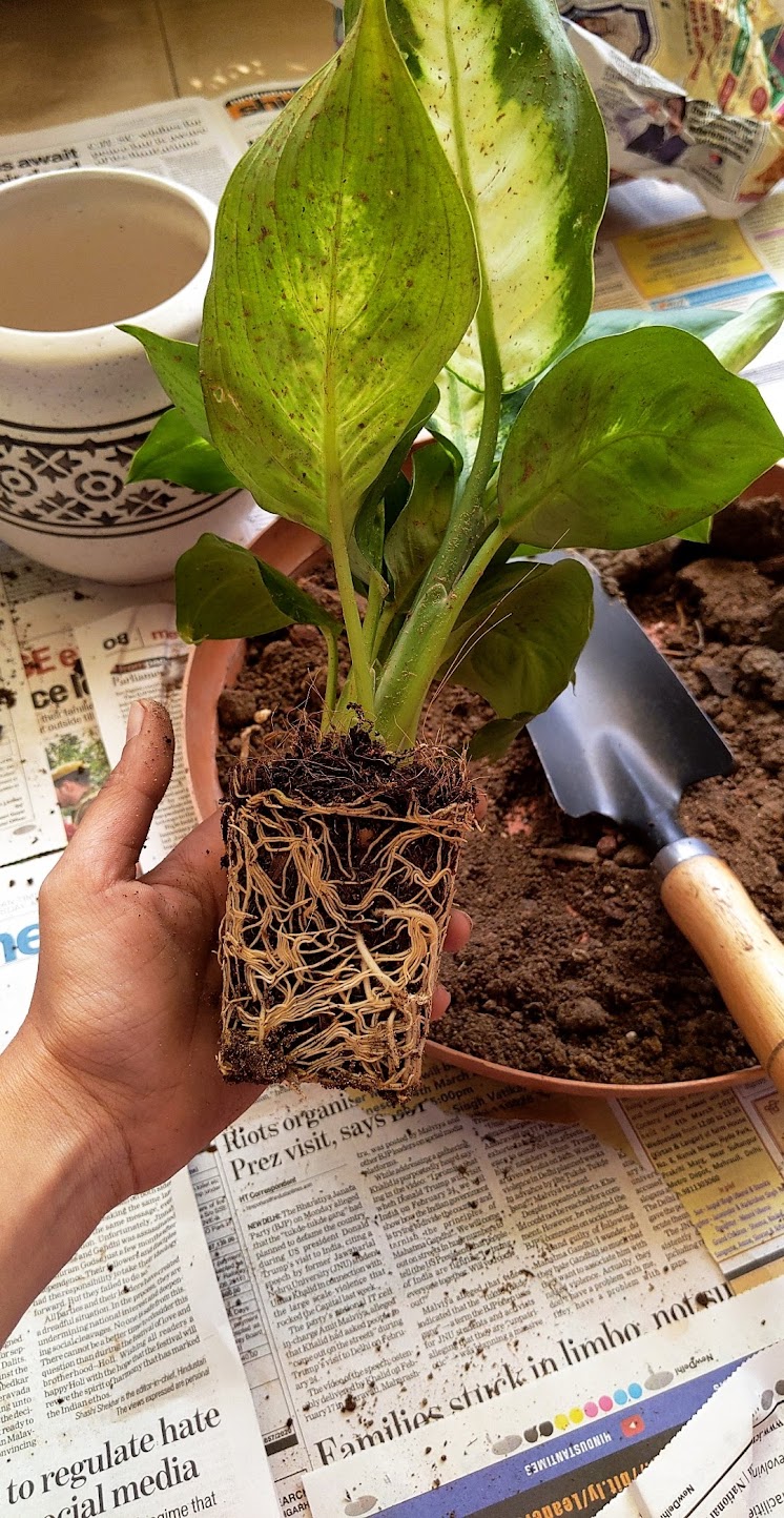 a building with persony windows