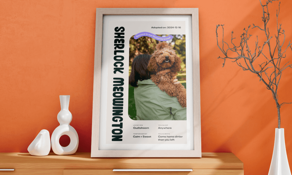 An adoption certificate in a frame.