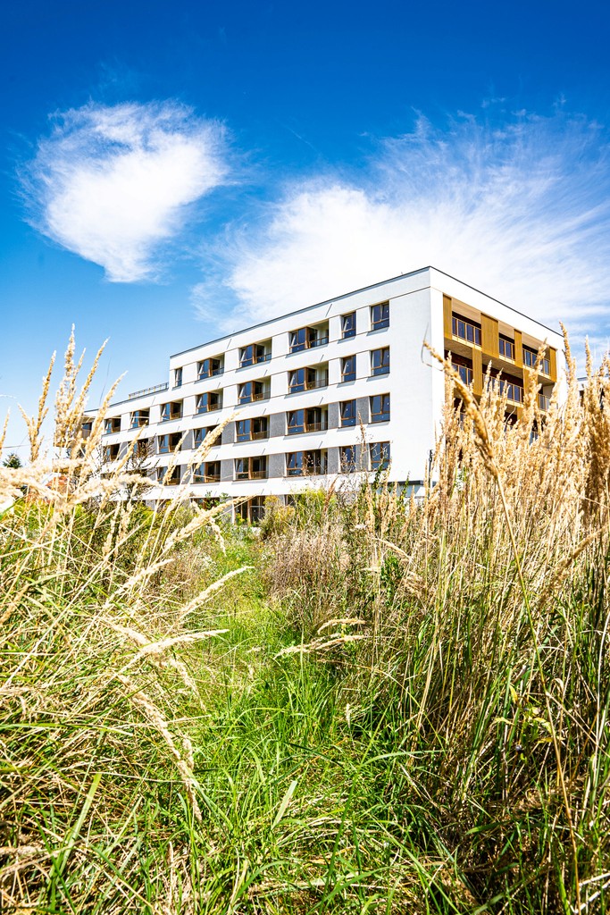 Realizacja projektu strony internetowej dla dewelopera mieszkaniowego z Warszawy - Muniak Development