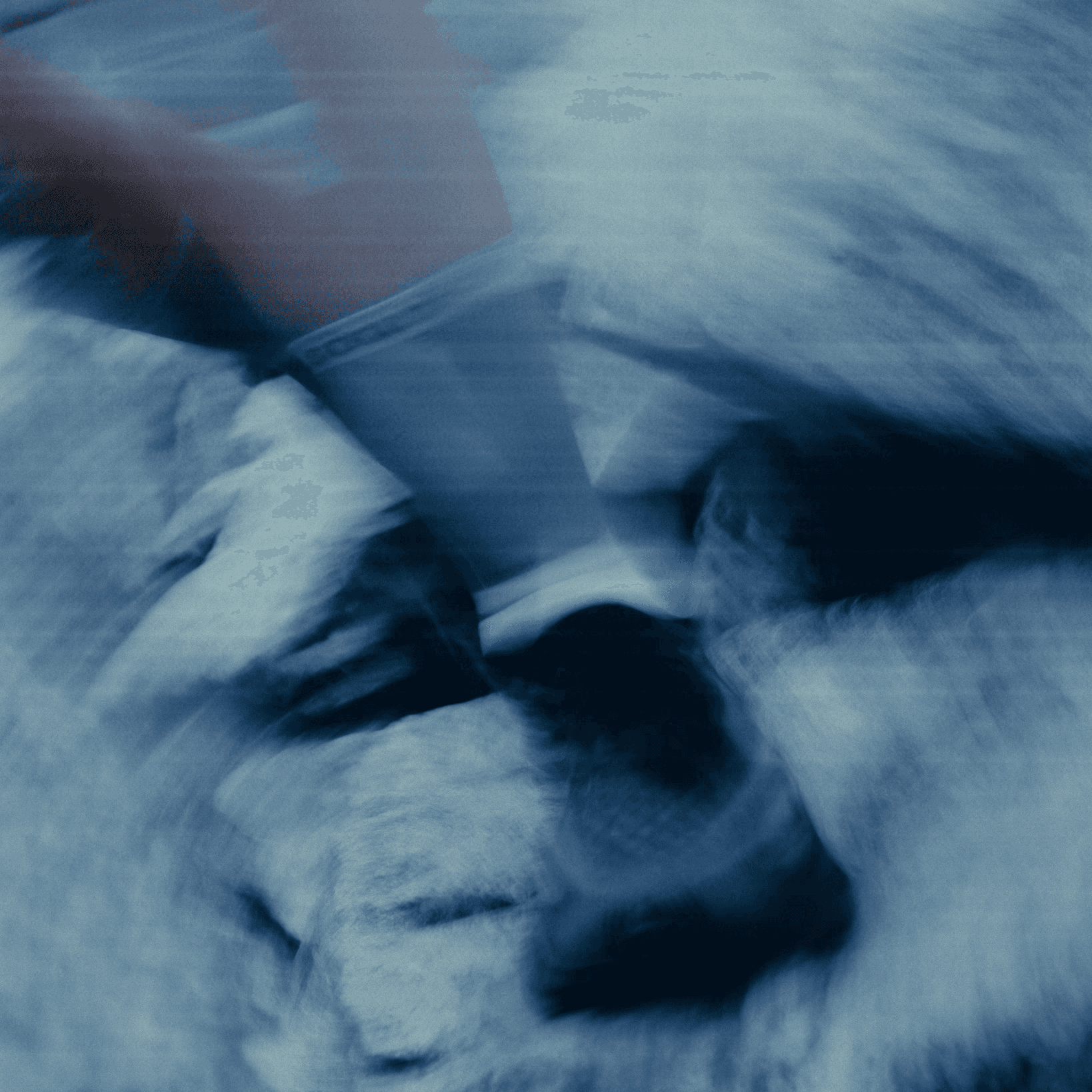 picture of a woman, trail running, dynamic shot of her feet.