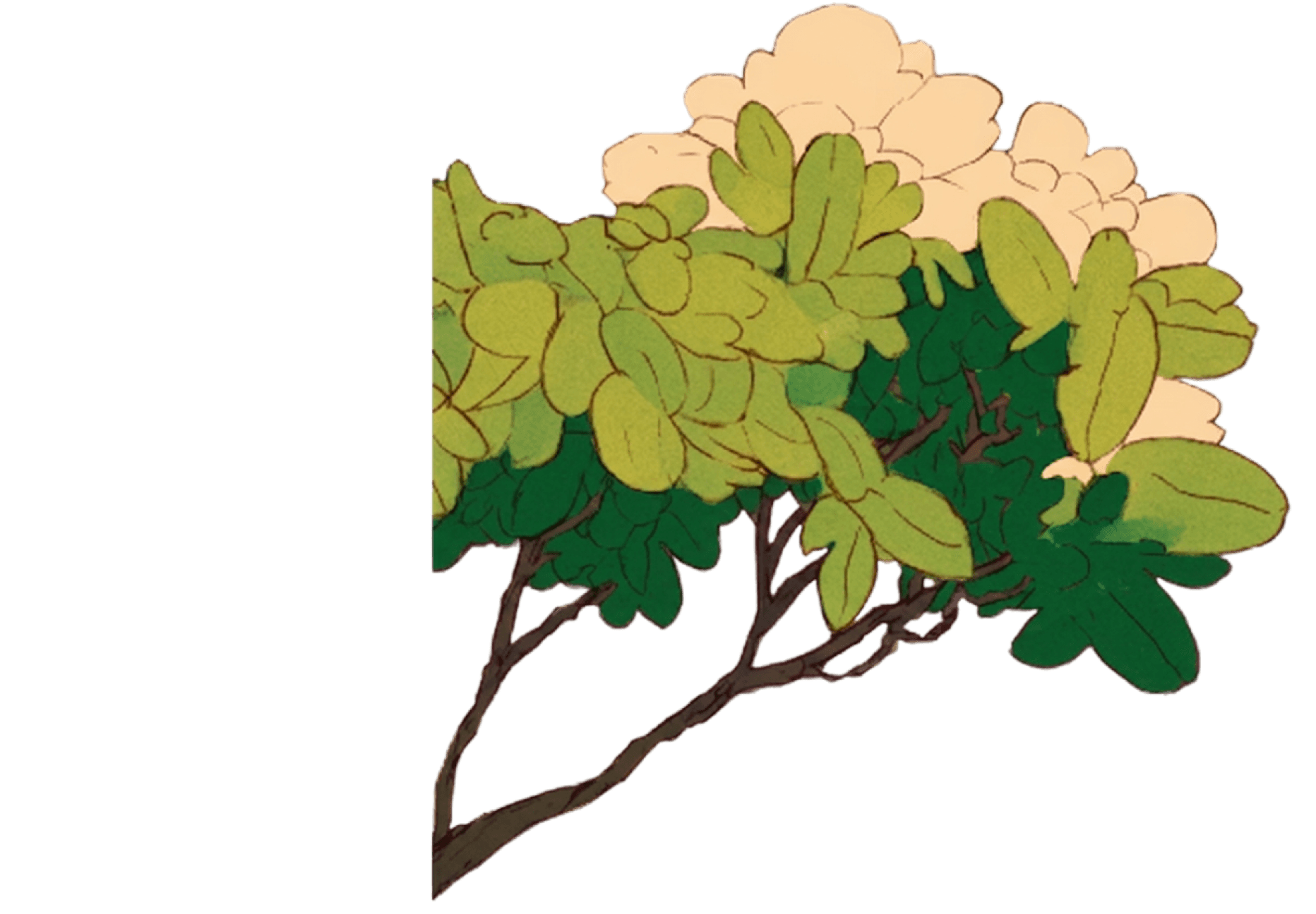 Stylized illustration of a tree branch with green leaves and light foliage.
