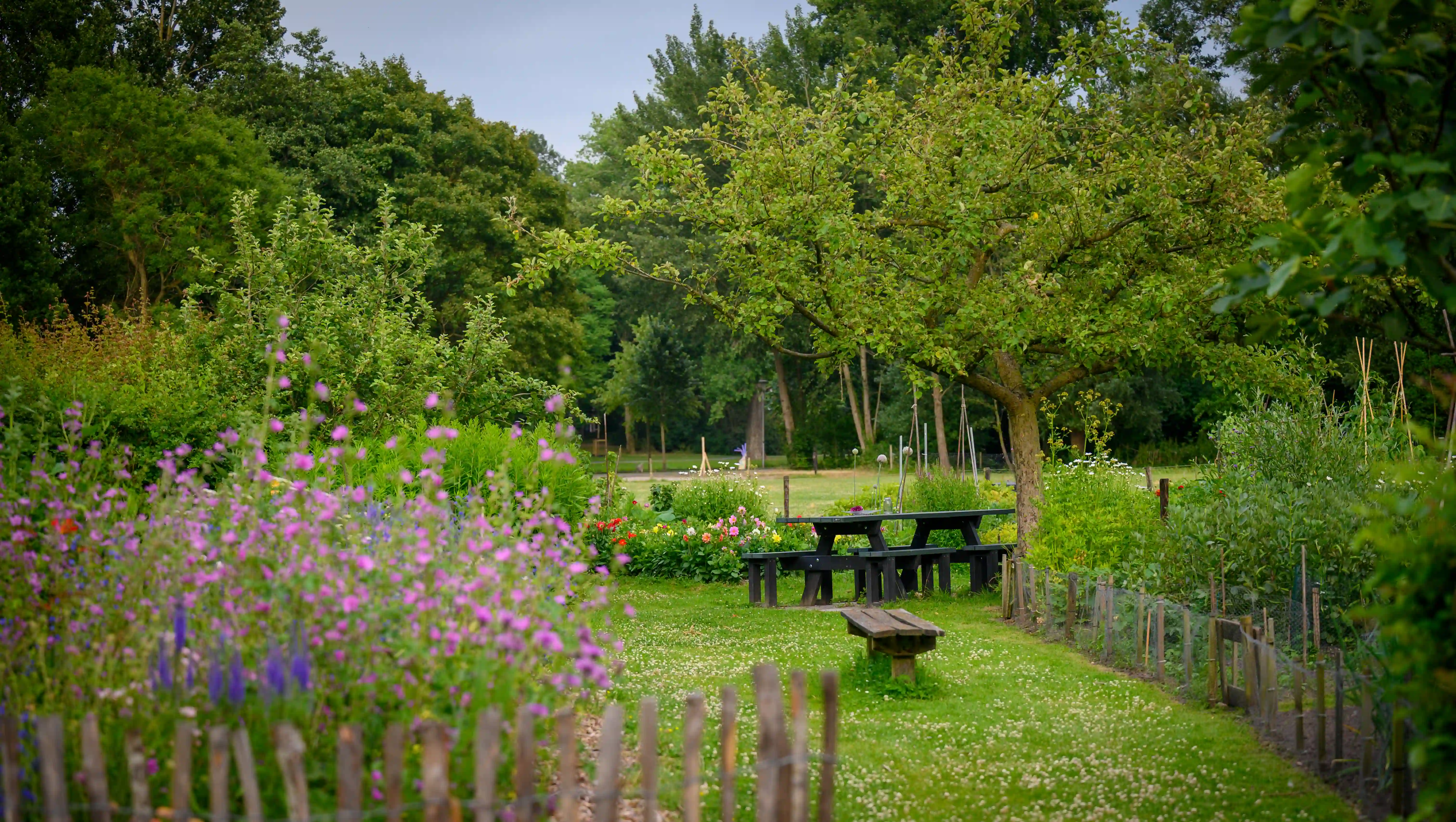 Zitplek in de seniorentuin