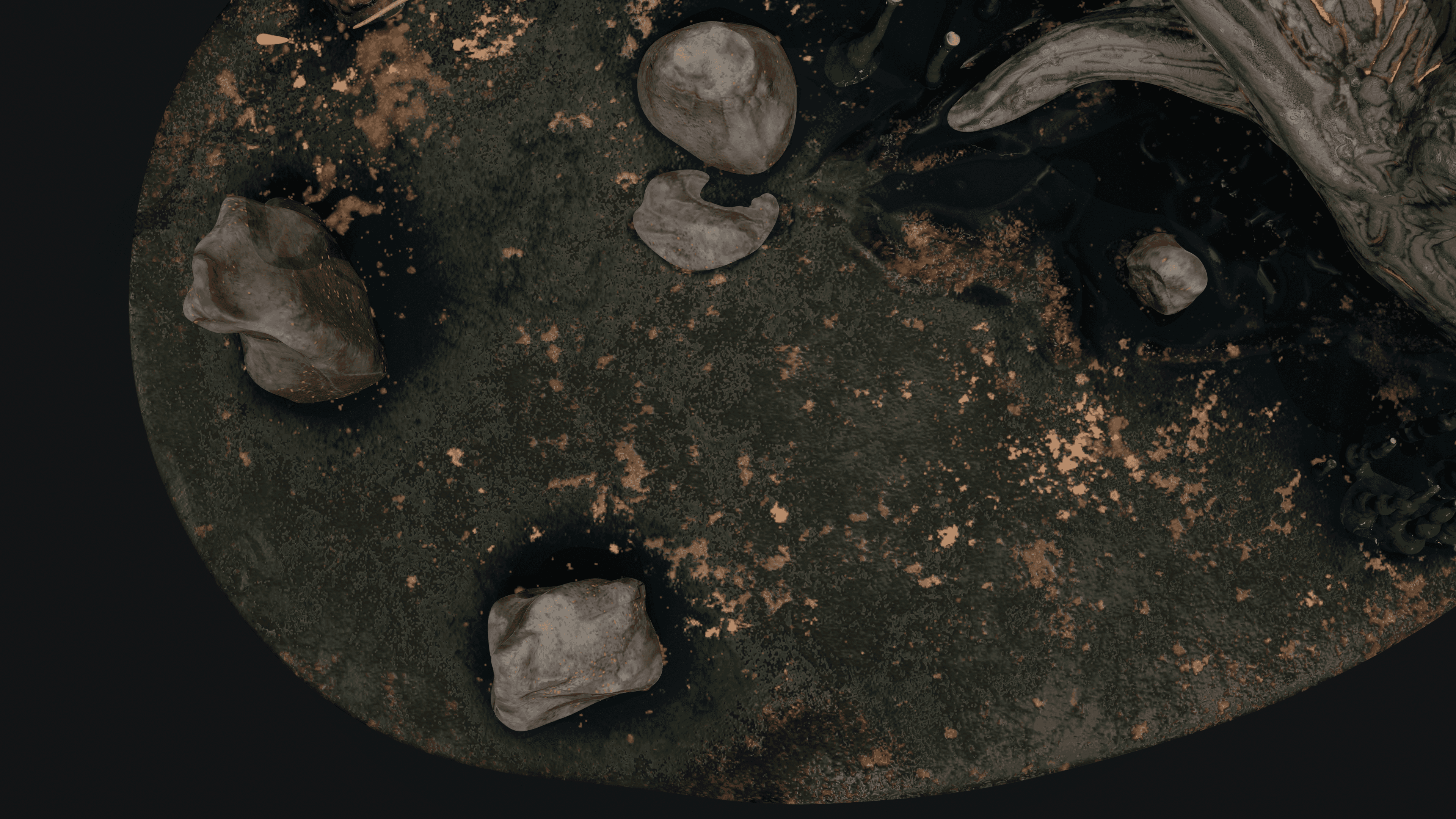 Top-down view of the Nidus environment showing rocky forms, textured ground and organic surface details.