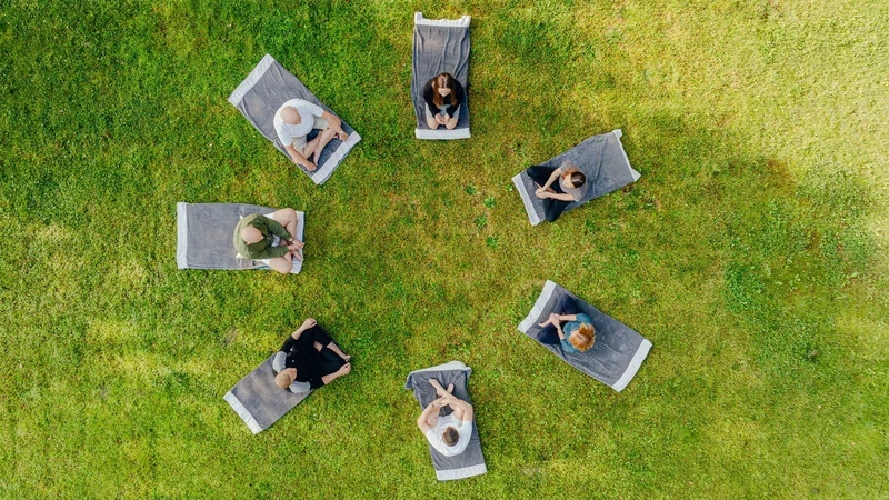 people meditate on the grass