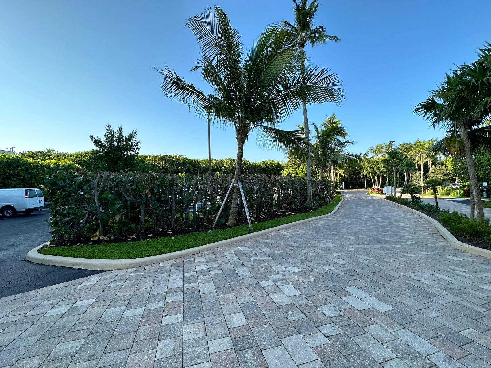 clean-pavers