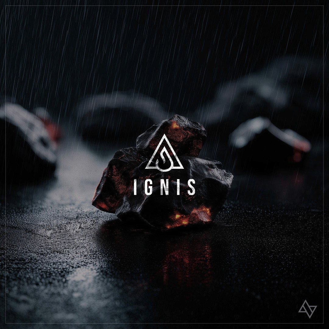 Portfolio project image