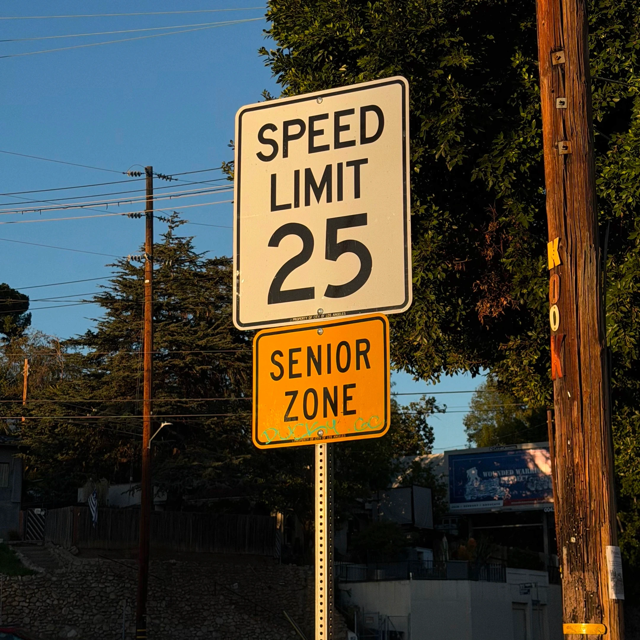 Dom Pérignon vineyards from the sky