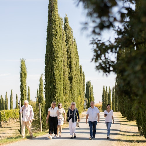 Walking through a winery