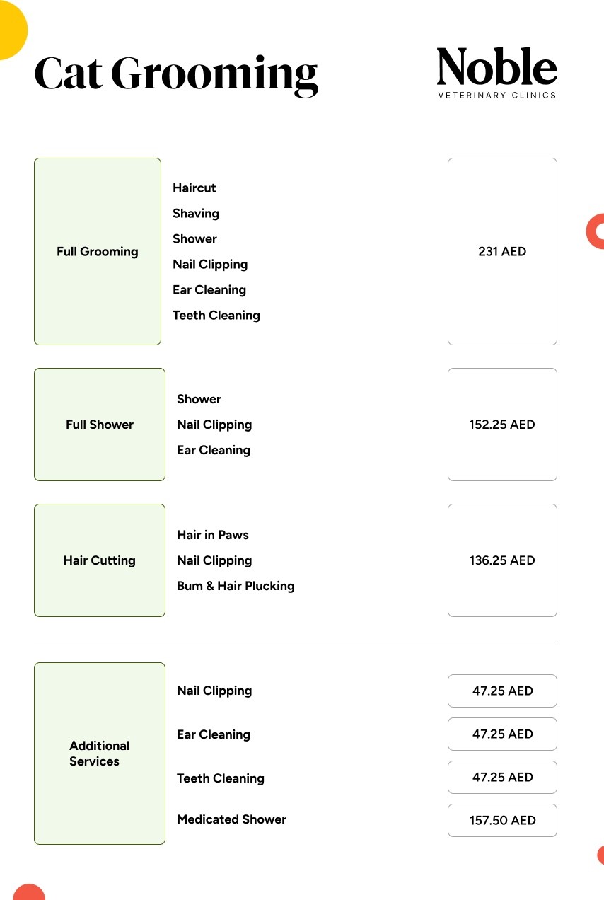 cat grooming price