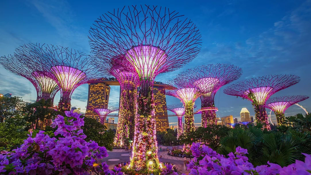 Illuminated Supertree Grove display