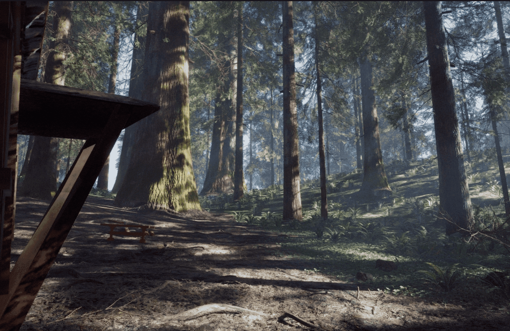 Overview Images